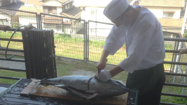 マグロの解体ショー