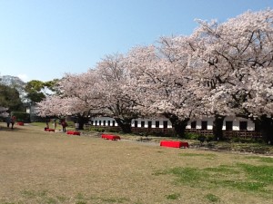 舞鶴公園①