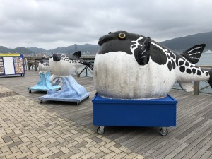 IMG_8033